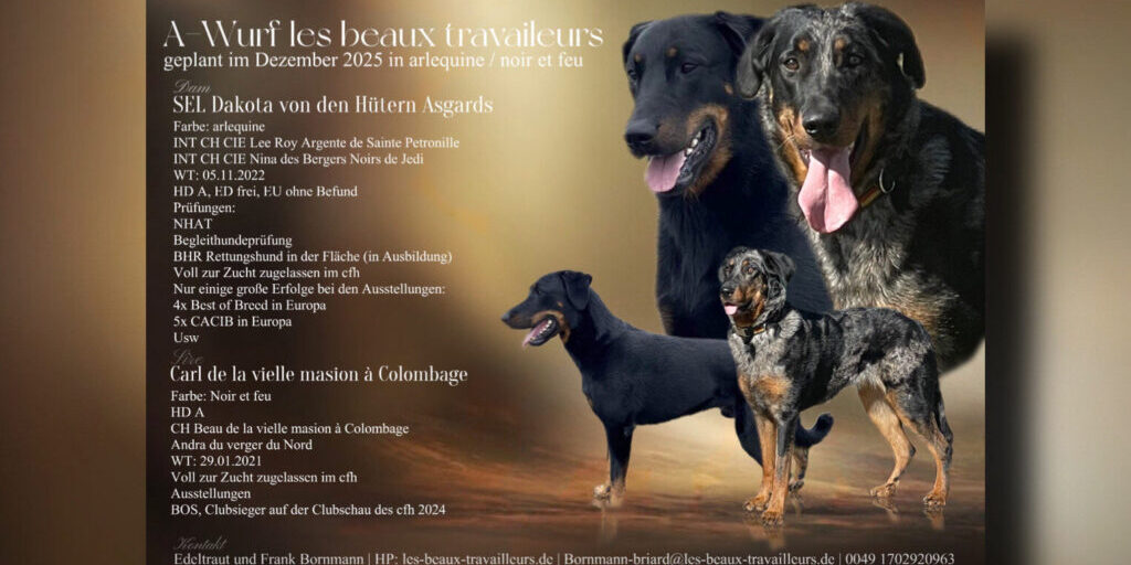Beauceron Wurfplanung Dezember 2025